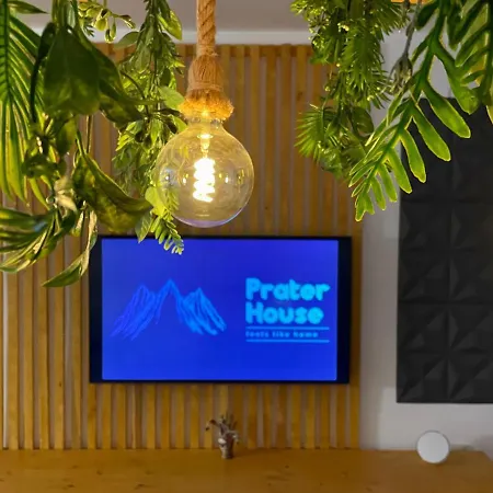 Prater House Mountain View 莫伊西德约斯